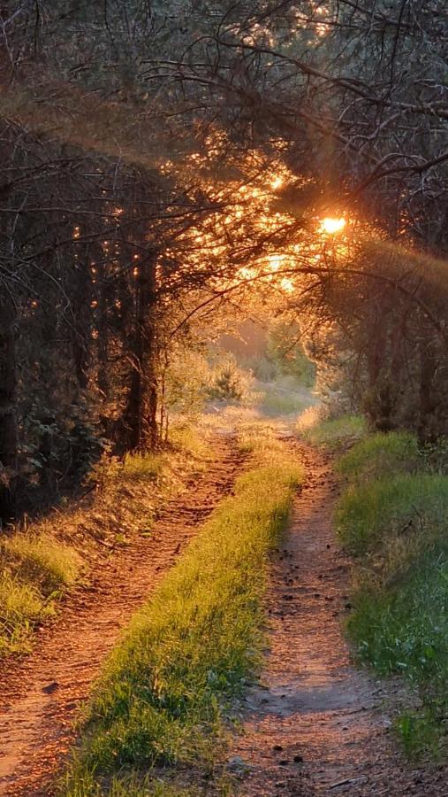 Вилла Agroturystyka Ruta Nad Zalewem Siemianowka Luka Экстерьер фото