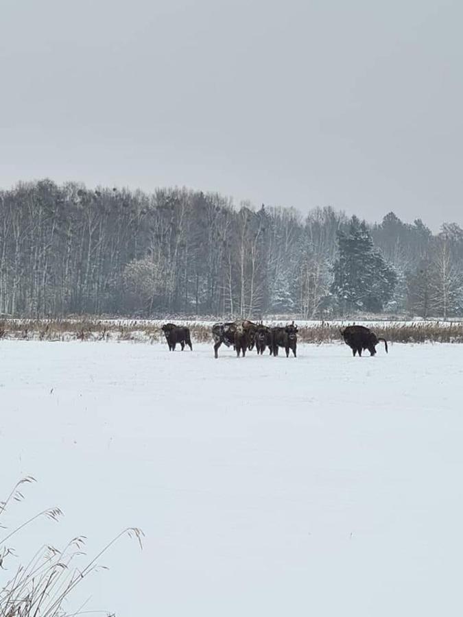 Вилла Agroturystyka Ruta Nad Zalewem Siemianowka Luka Экстерьер фото