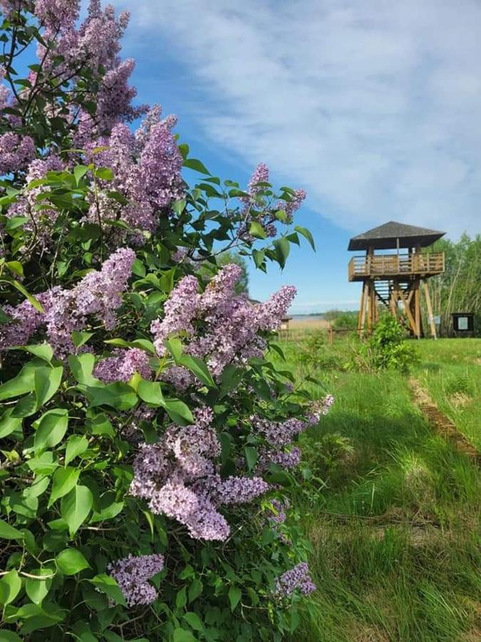 Вилла Agroturystyka Ruta Nad Zalewem Siemianowka Luka Экстерьер фото